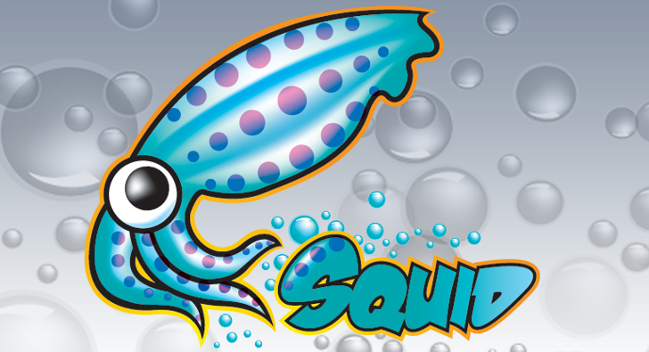 basiccolor display squid 3 basiccolor display squid 3